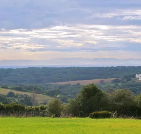 El Palomar De La Brena ホテル 2*